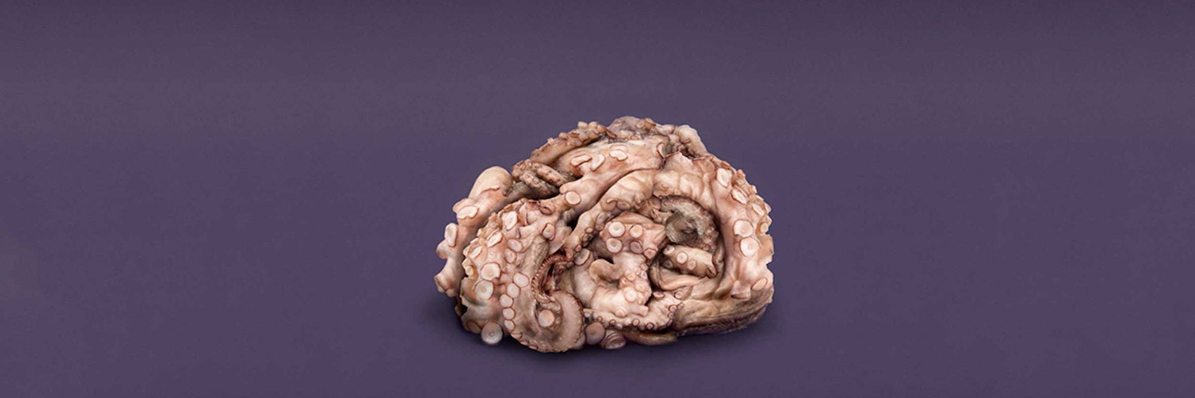 Plaques and Tangles Royal Court